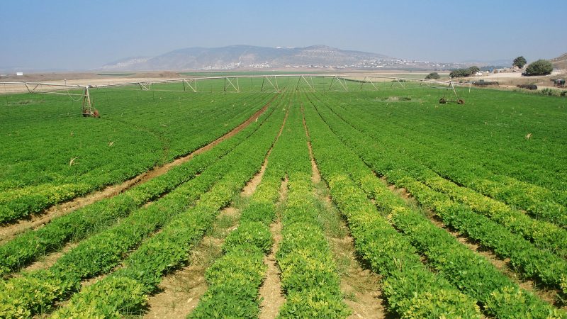 agricultura 02